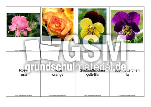 Blumen-Memo-Aufdeckspiel-8.pdf